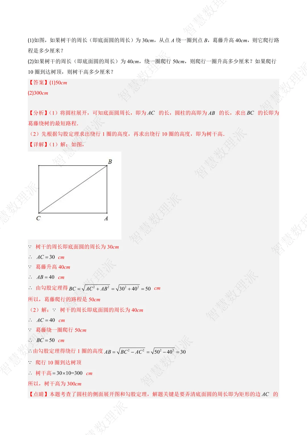 北师大版初二 八年级上册数学 《专题一 利用勾股定理求最短路径问题的四种模型》-第6张图片-四季读书网