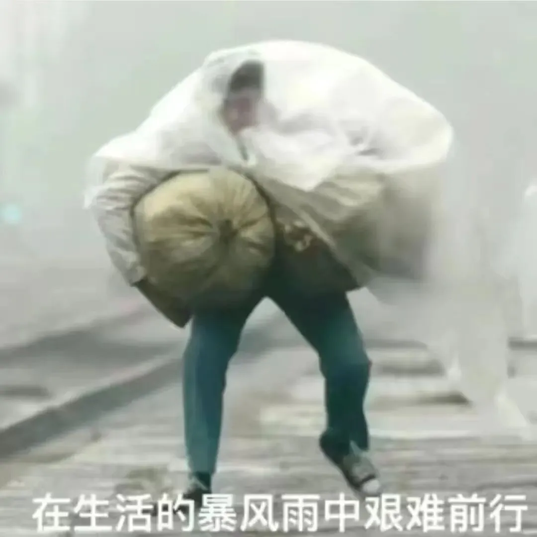 2026年第6期公益家长课堂招募:中考在即,家长这样做,才是真“神助攻”-第3张图片-四季读书网