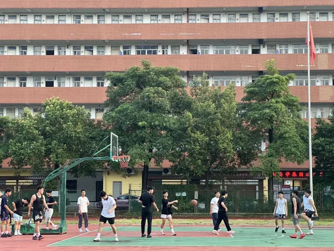 高职高考10月班还值得报吗?3个月锁定高频考点,直击得分点!-第168张图片-四季读书网