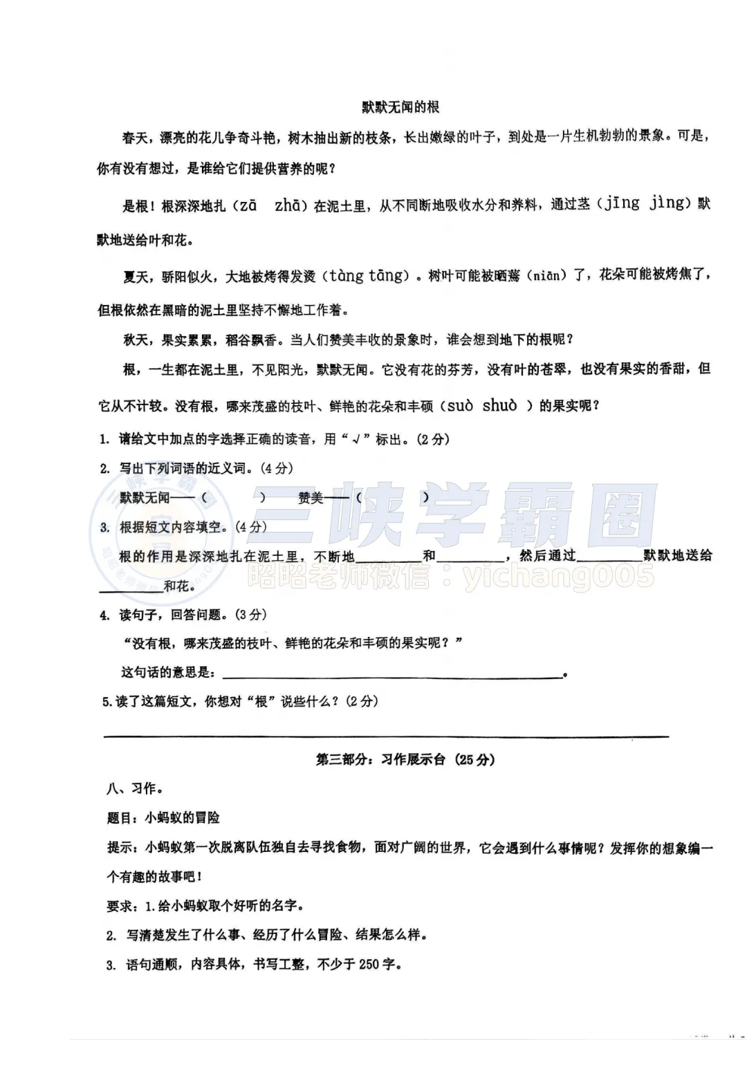 【期中真题】2025年秋季宜昌夷陵天问小学上学期期中语文试卷-第4张图片-四季读书网