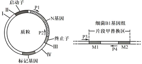生物高考真题 | 2024年高考生物真题(理综卷)山西、河南、云南、新疆-第5张图片-四季读书网