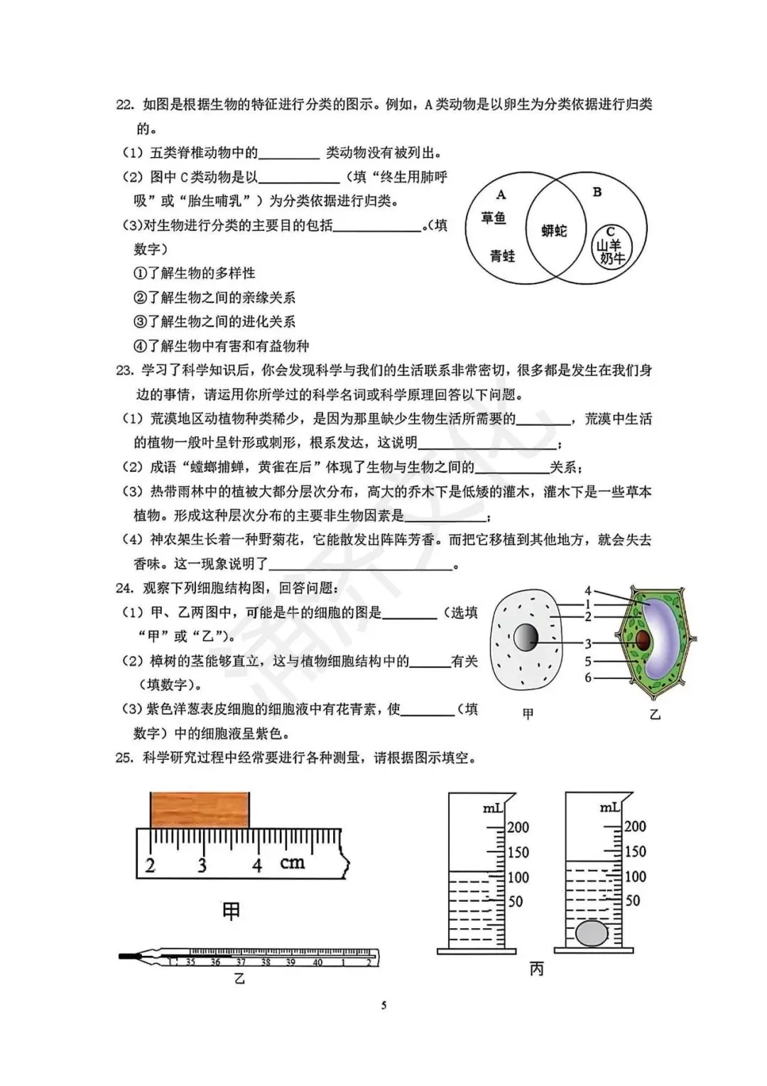 初一期中冲刺|2025学年鄞州十三校联考7上期中(全科试题+答案)-第9张图片-四季读书网