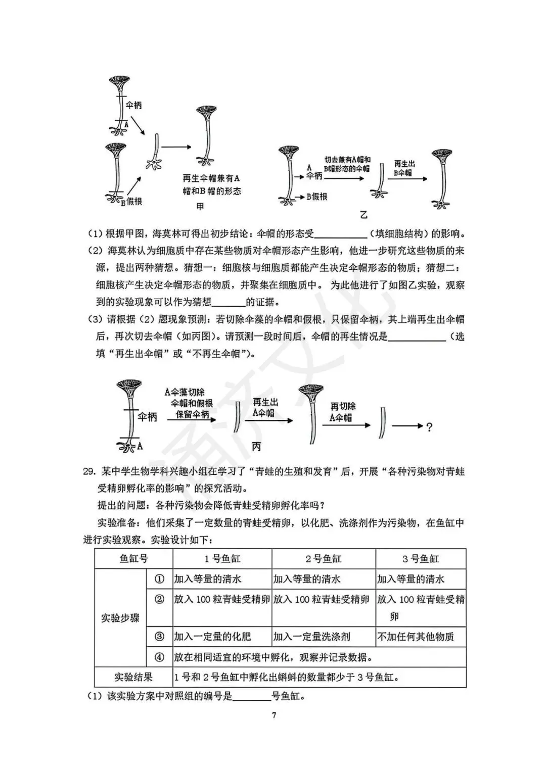 初一期中冲刺|2025学年鄞州十三校联考7上期中(全科试题+答案)-第11张图片-四季读书网