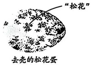 湖南省长沙市2025年中考化学真题-第14张图片-四季读书网
