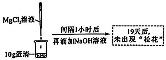 湖南省长沙市2025年中考化学真题-第16张图片-四季读书网