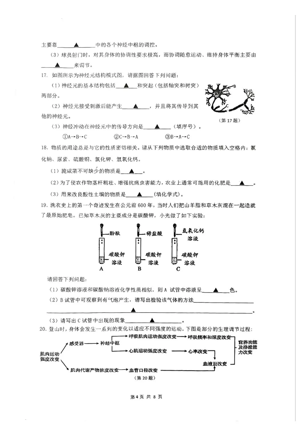 2026.10鄞州区曙光中学等初三联考月考试卷-第6张图片-四季读书网 2026.10鄞州区曙光中学等初三联考月考试卷-第6张图片-四季读书网
