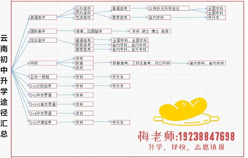 新高考选科必看|避开这10大误区,牢记5大铁律(老师、家长、学生必读)-第14张图片-四季读书网 新高考选科必看|避开这10大误区,牢记5大铁律(老师、家长、学生必读)-第14张图片-四季读书网