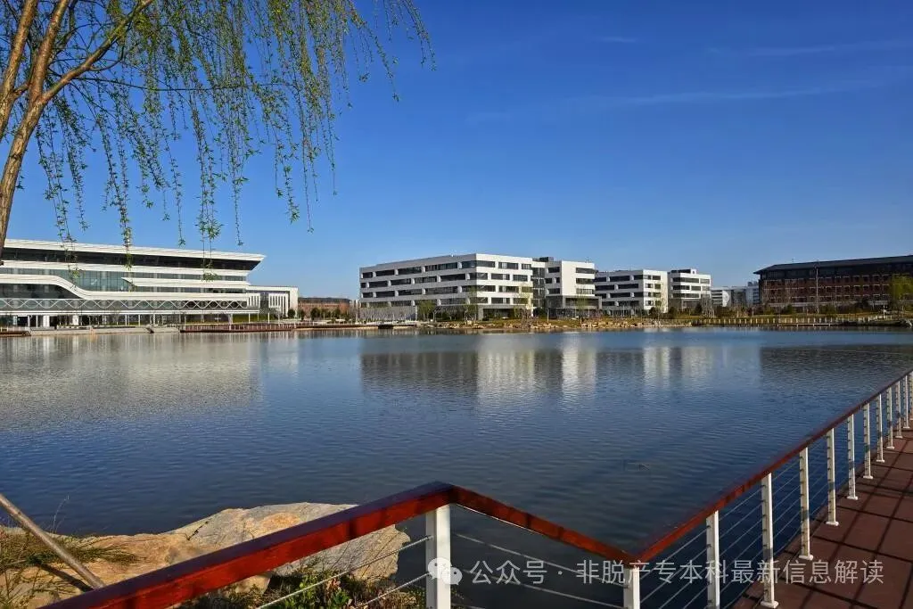 山东第一医科大学成人高考招生简章-第4张图片-四季读书网