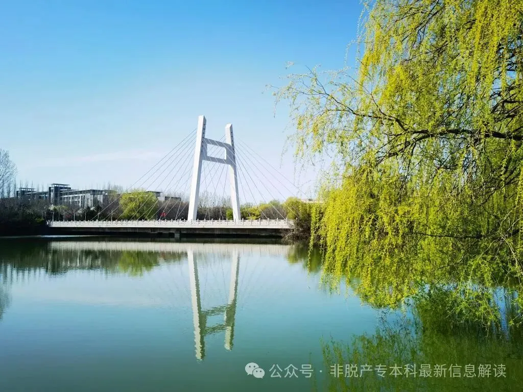 山东第一医科大学成人高考招生简章-第5张图片-四季读书网