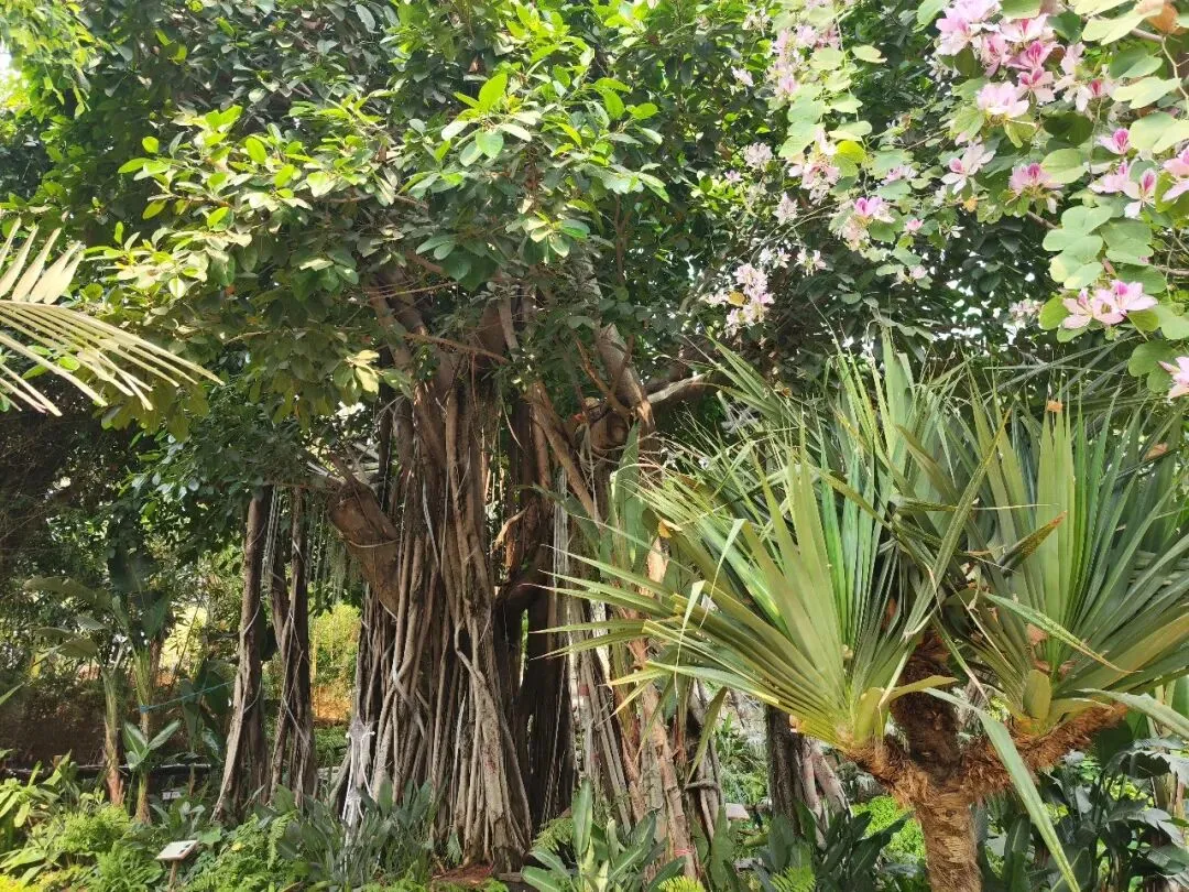 初一学生作文荟萃-第3张图片-四季读书网 初一学生作文荟萃-第3张图片-四季读书网