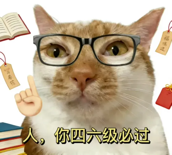 四六级模拟考试,报名启动!-第9张图片-四季读书网