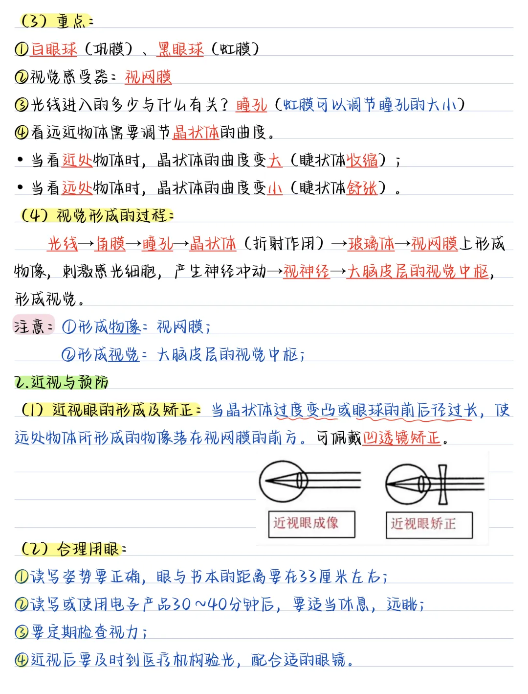 初二2026新【八上生物】全册必背考点知识汇总总复习(完整版可打印)-第4张图片-四季读书网