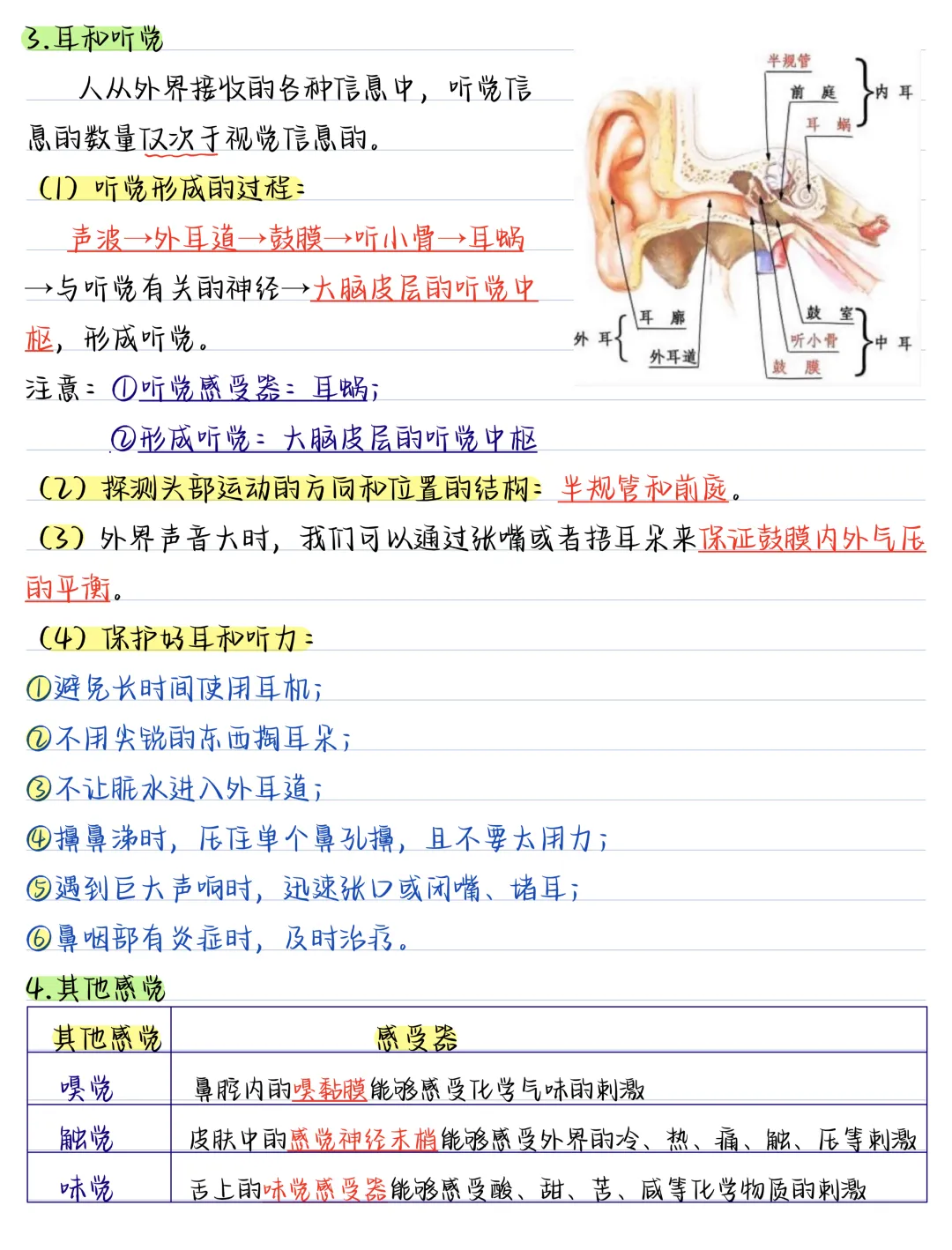 初二2026新【八上生物】全册必背考点知识汇总总复习(完整版可打印)-第5张图片-四季读书网