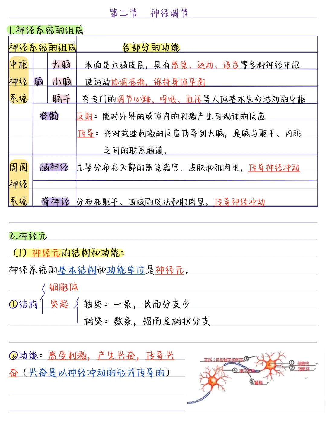 初二2026新【八上生物】全册必背考点知识汇总总复习(完整版可打印)-第6张图片-四季读书网