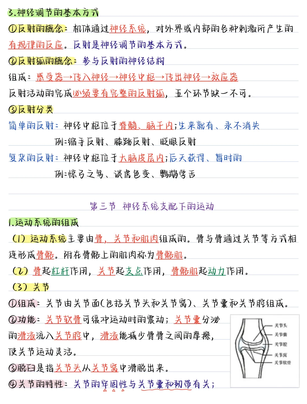 初二2026新【八上生物】全册必背考点知识汇总总复习(完整版可打印)-第7张图片-四季读书网