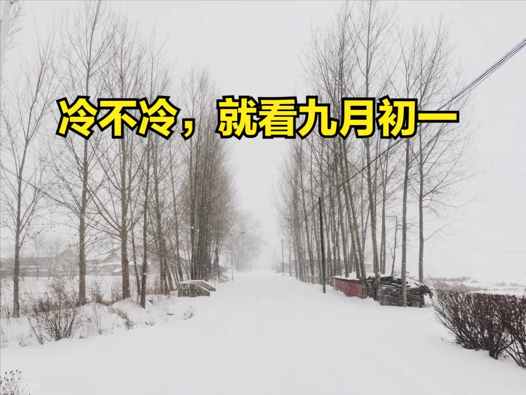 “冷不冷,就看九月初一”,明日九月初一,今年冬天会特别冷吗?-第1张图片-四季读书网