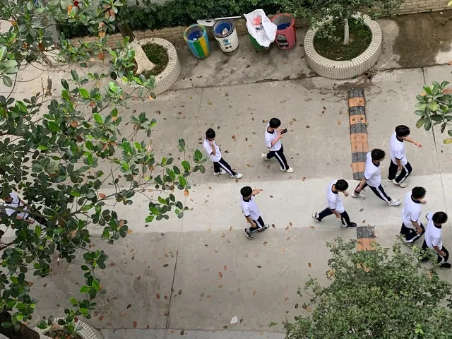**公办初中取消初一初二晚自习:减负不是简单＂早放学＂,一场教育取舍正在发生!-第1张图片-四季读书网