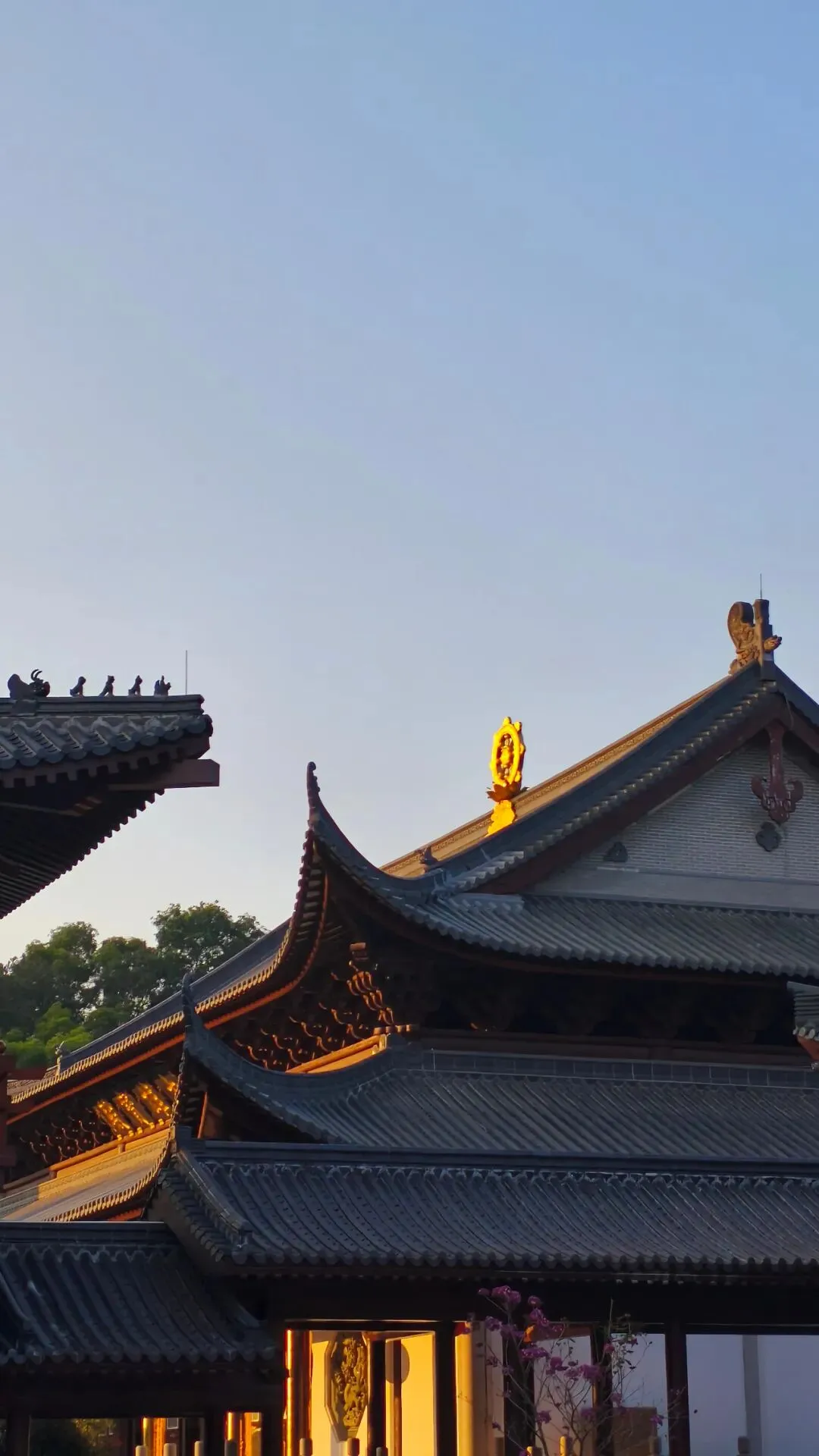 明日(九月初一)|佛前大供-第7张图片-四季读书网 明日(九月初一)|佛前大供-第7张图片-四季读书网