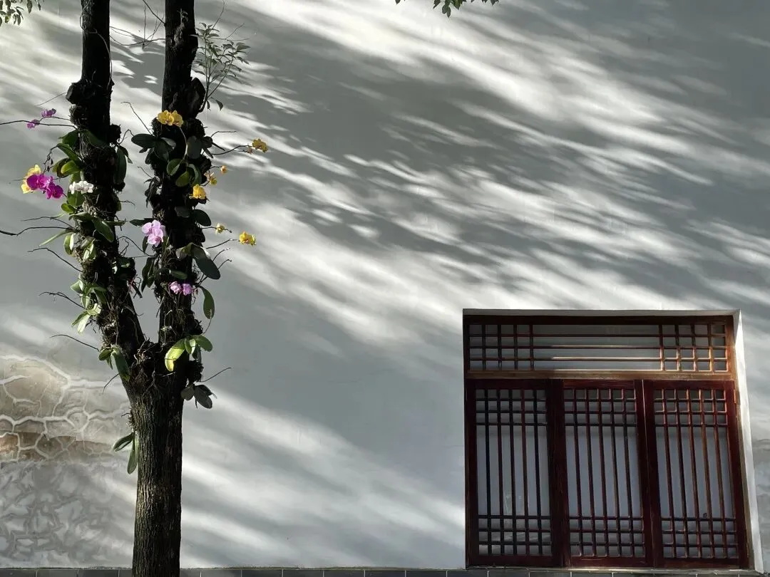 明日(九月初一)|佛前大供-第8张图片-四季读书网 明日(九月初一)|佛前大供-第8张图片-四季读书网