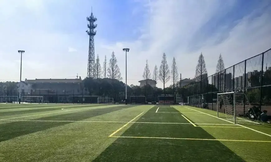 非沪籍学生在上海怎么备考高考,上海成才教育学院高考班介绍-第3张图片-四季读书网 非沪籍学生在上海怎么备考高考,上海成才教育学院高考班介绍-第3张图片-四季读书网
