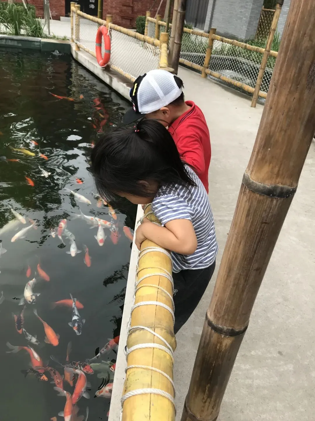 初三生交手机后续-第1张图片-四季读书网 初三生交手机后续-第1张图片-四季读书网
