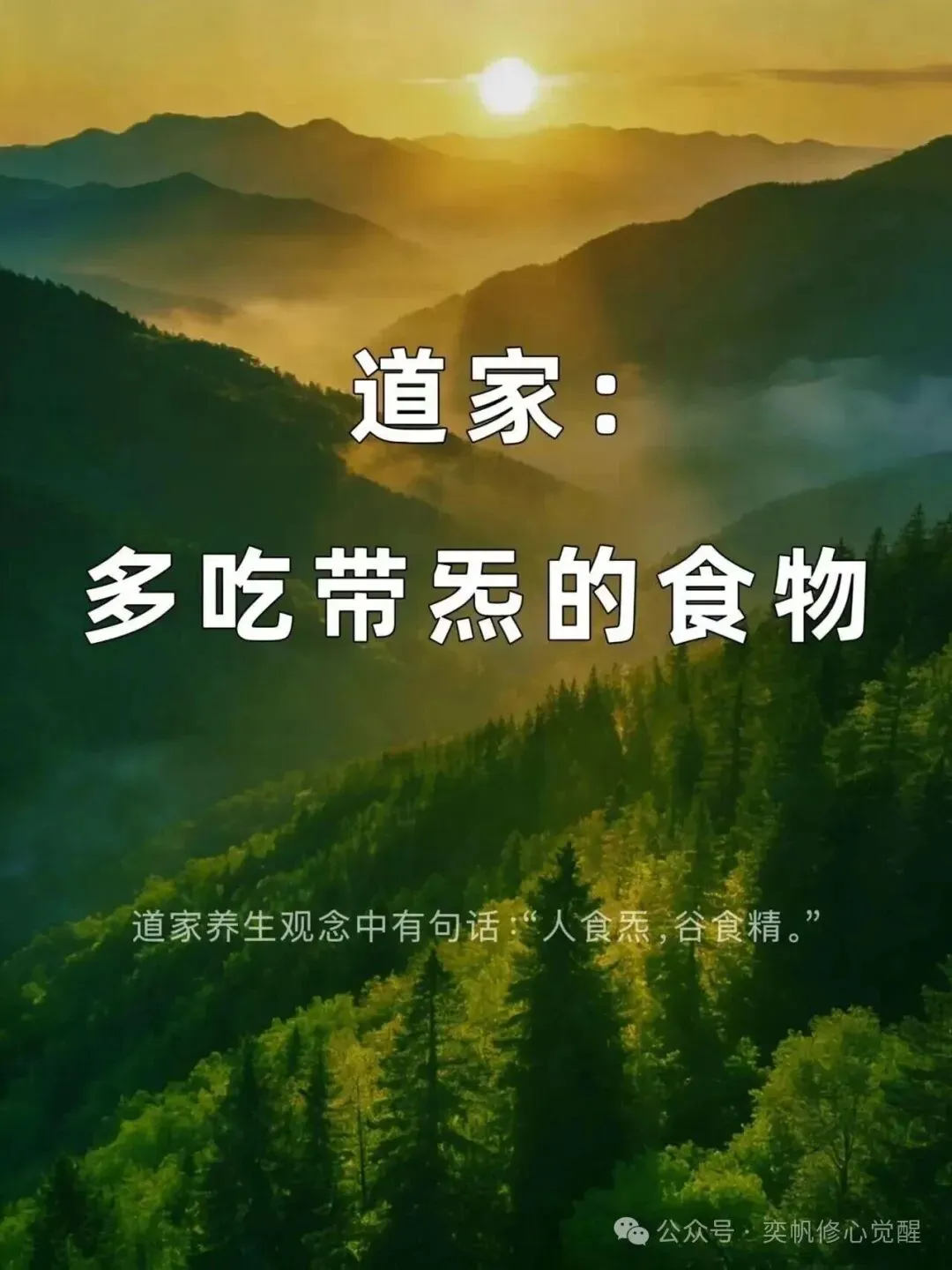 初一十五吃素有好处.-第1张图片-四季读书网