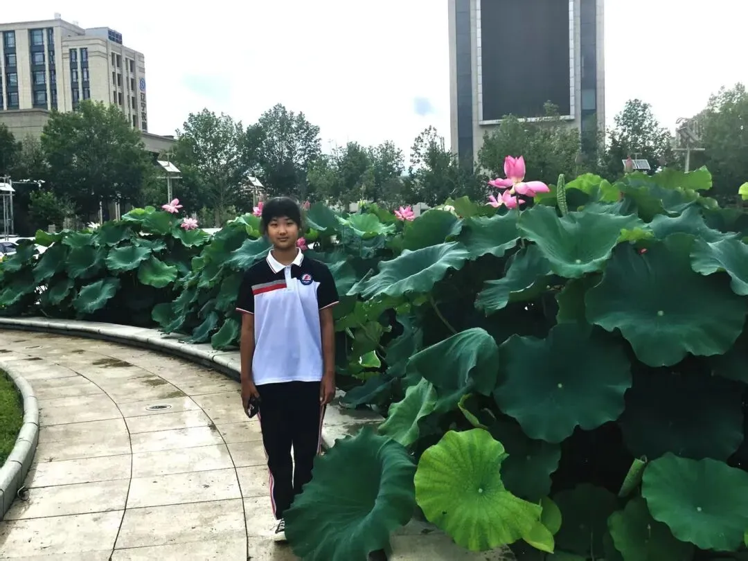 初二优秀作文(204)以青春之名,赴心中理想-第1张图片-四季读书网