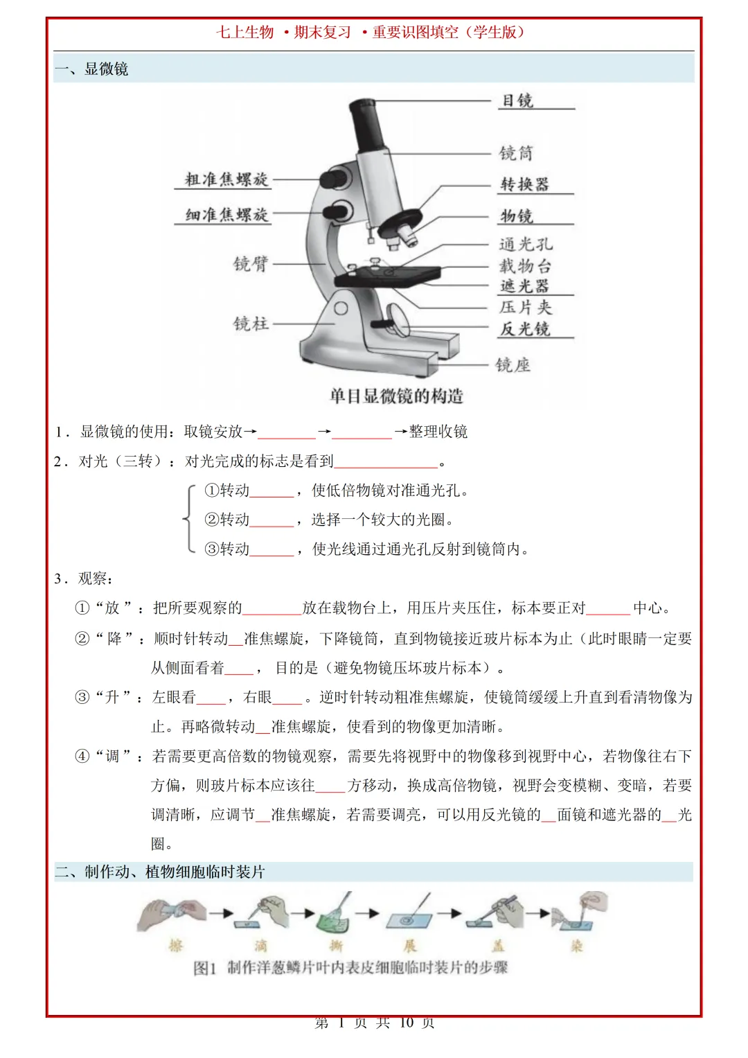 【初一】2026秋七年级上册生物全册重点知识梳理汇总填空版,有完整版可打印,建议家长领取一份打印给孩子!-第3张图片-四季读书网 【初一】2026秋七年级上册生物全册重点知识梳理汇总填空版,有完整版可打印,建议家长领取一份打印给孩子!-第3张图片-四季读书网