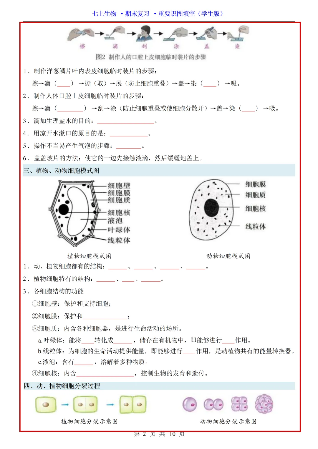 【初一】2026秋七年级上册生物全册重点知识梳理汇总填空版,有完整版可打印,建议家长领取一份打印给孩子!-第4张图片-四季读书网 【初一】2026秋七年级上册生物全册重点知识梳理汇总填空版,有完整版可打印,建议家长领取一份打印给孩子!-第4张图片-四季读书网
