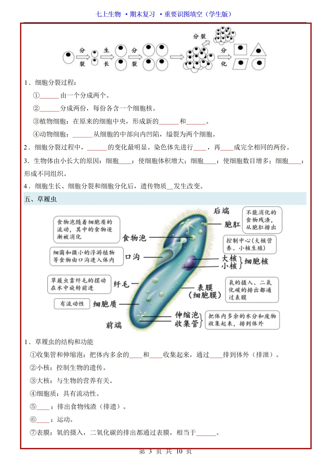 【初一】2026秋七年级上册生物全册重点知识梳理汇总填空版,有完整版可打印,建议家长领取一份打印给孩子!-第5张图片-四季读书网 【初一】2026秋七年级上册生物全册重点知识梳理汇总填空版,有完整版可打印,建议家长领取一份打印给孩子!-第5张图片-四季读书网