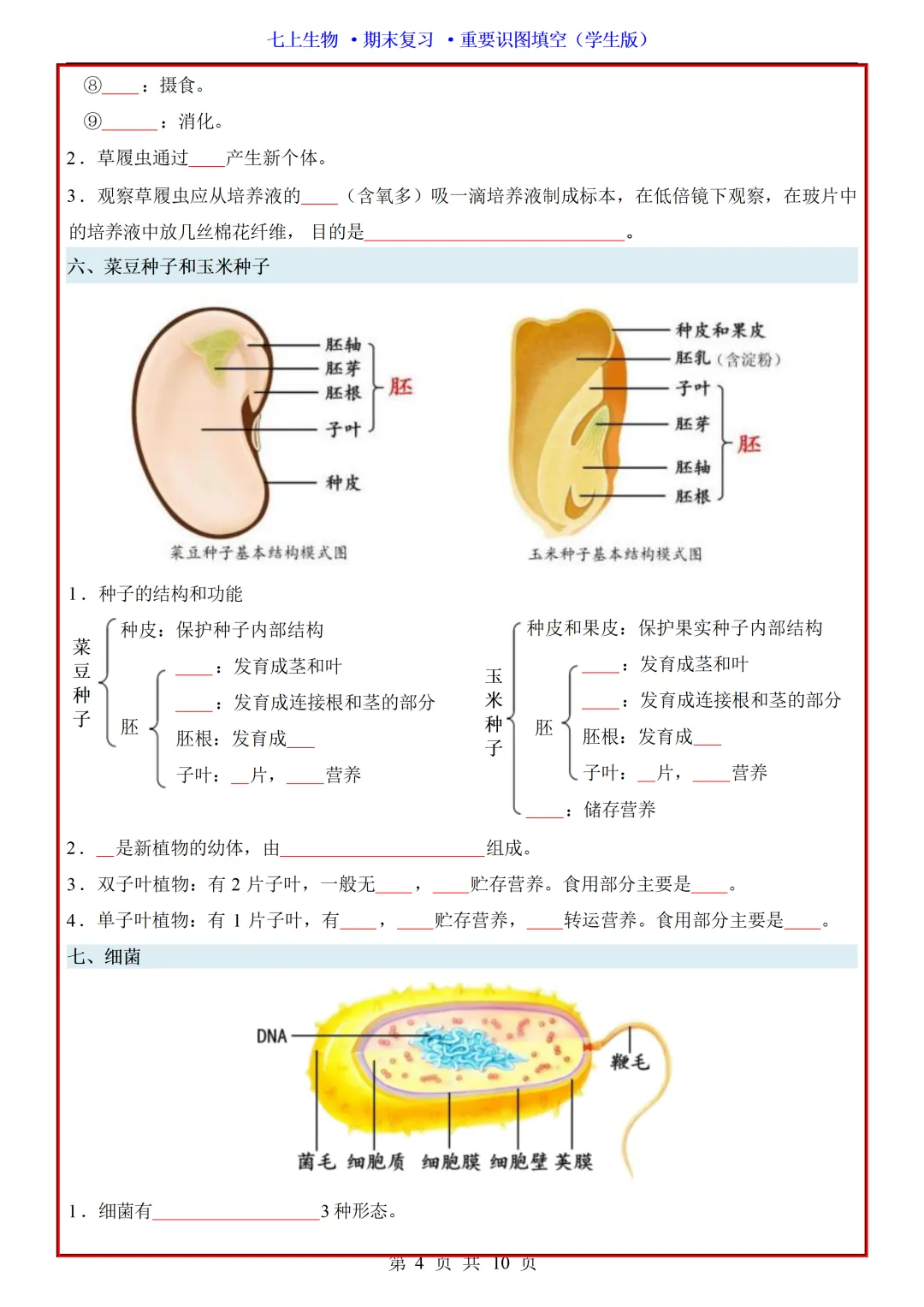 【初一】2026秋七年级上册生物全册重点知识梳理汇总填空版,有完整版可打印,建议家长领取一份打印给孩子!-第6张图片-四季读书网 【初一】2026秋七年级上册生物全册重点知识梳理汇总填空版,有完整版可打印,建议家长领取一份打印给孩子!-第6张图片-四季读书网