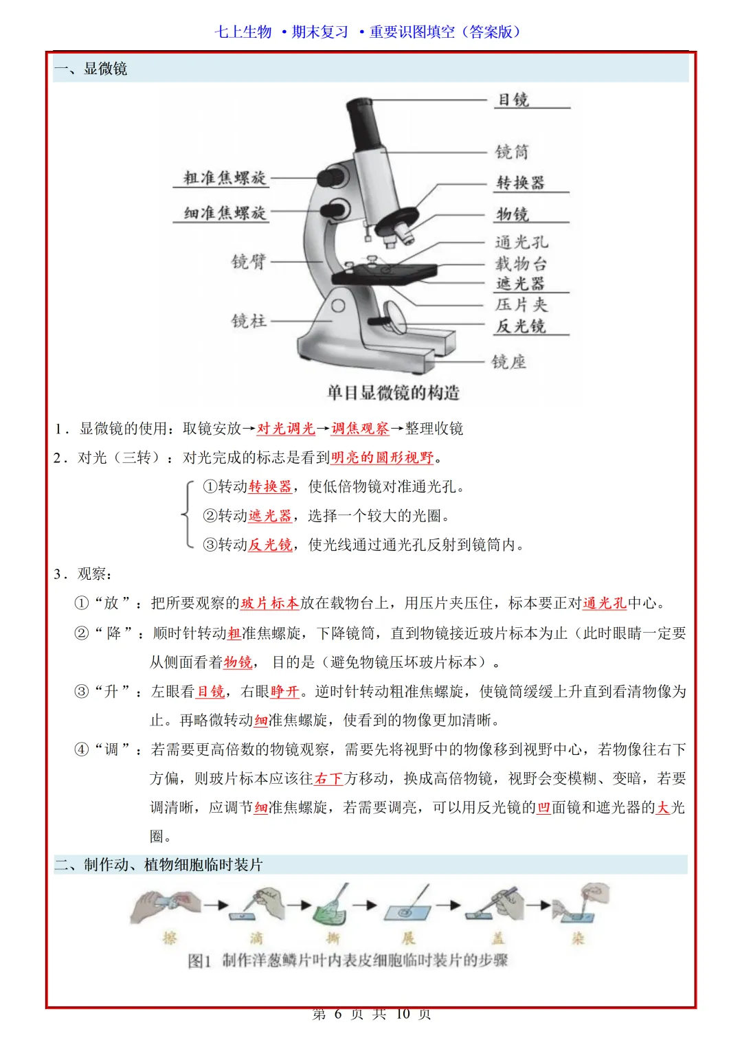 【初一】2026秋七年级上册生物全册重点知识梳理汇总填空版,有完整版可打印,建议家长领取一份打印给孩子!-第8张图片-四季读书网 【初一】2026秋七年级上册生物全册重点知识梳理汇总填空版,有完整版可打印,建议家长领取一份打印给孩子!-第8张图片-四季读书网