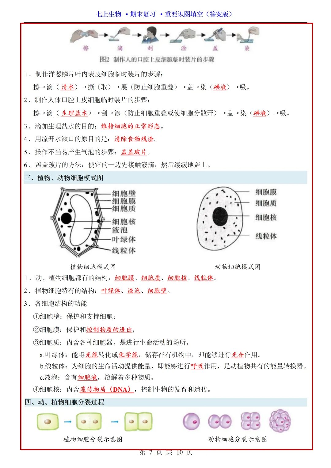 【初一】2026秋七年级上册生物全册重点知识梳理汇总填空版,有完整版可打印,建议家长领取一份打印给孩子!-第9张图片-四季读书网 【初一】2026秋七年级上册生物全册重点知识梳理汇总填空版,有完整版可打印,建议家长领取一份打印给孩子!-第9张图片-四季读书网