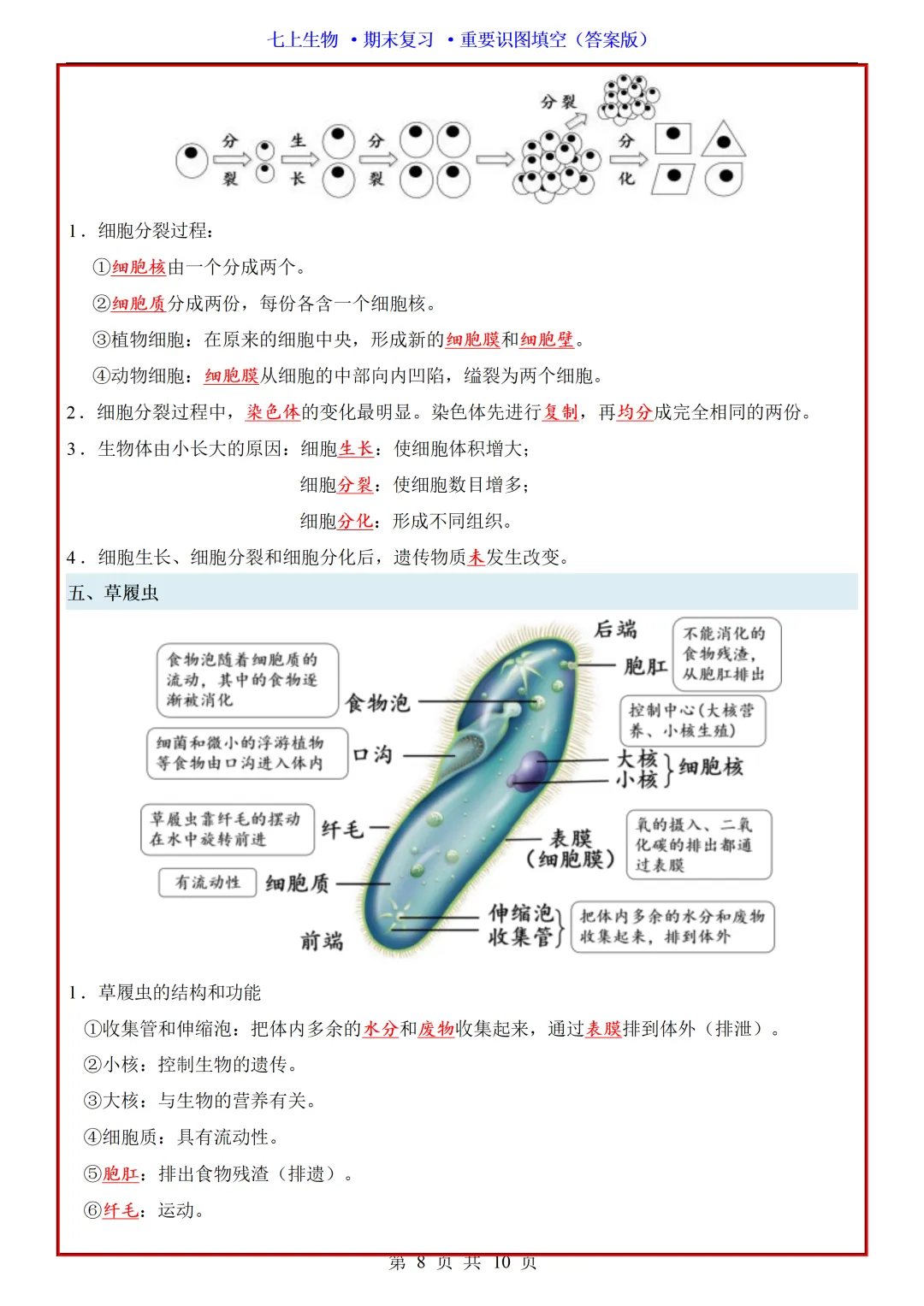 【初一】2026秋七年级上册生物全册重点知识梳理汇总填空版,有完整版可打印,建议家长领取一份打印给孩子!-第10张图片-四季读书网 【初一】2026秋七年级上册生物全册重点知识梳理汇总填空版,有完整版可打印,建议家长领取一份打印给孩子!-第10张图片-四季读书网