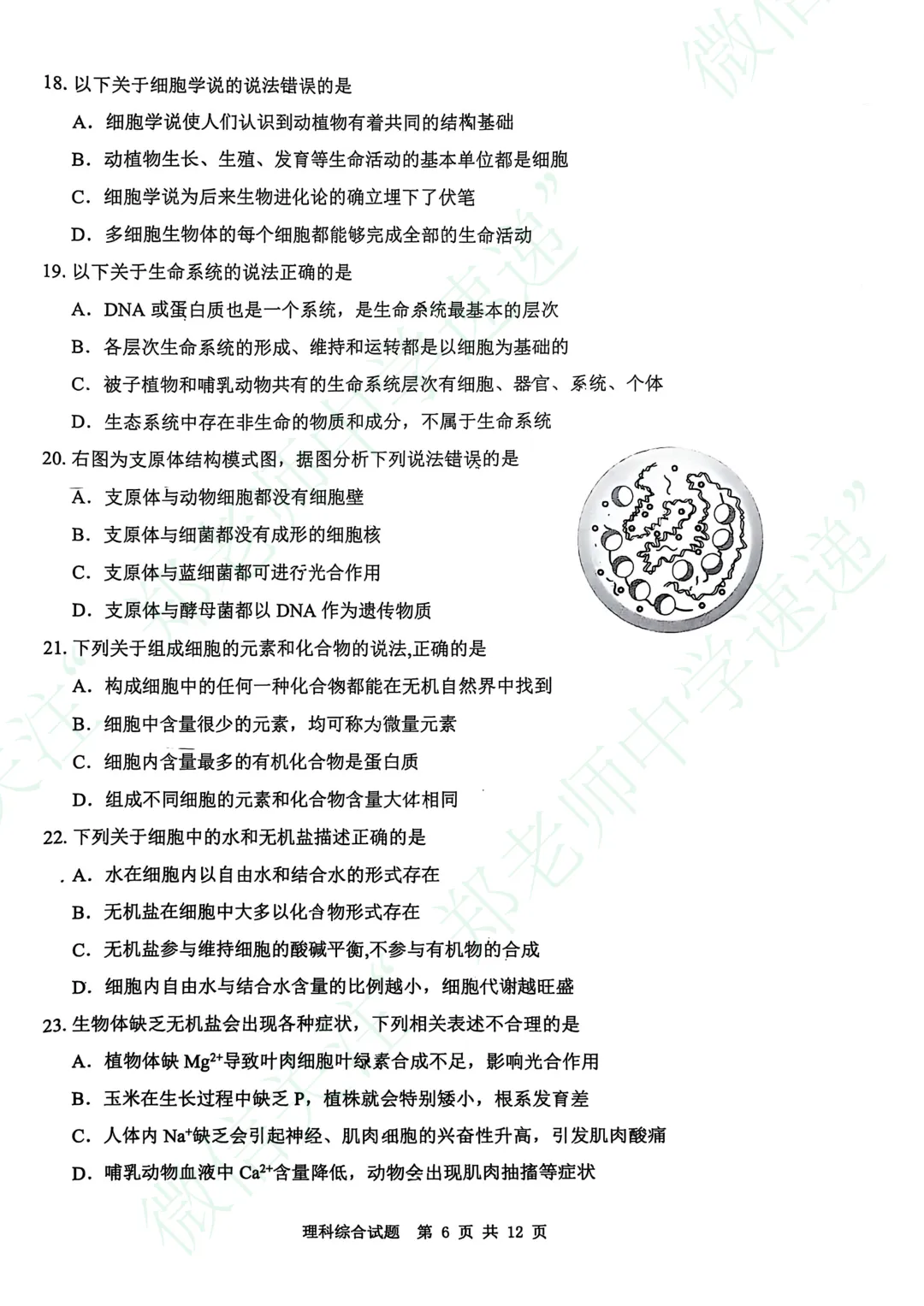 济南高一开学考,理科综合真题电子版-第7张图片-四季读书网
