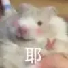 高考后才发现,妈妈连一万都拿不出来-第2张图片-四季读书网