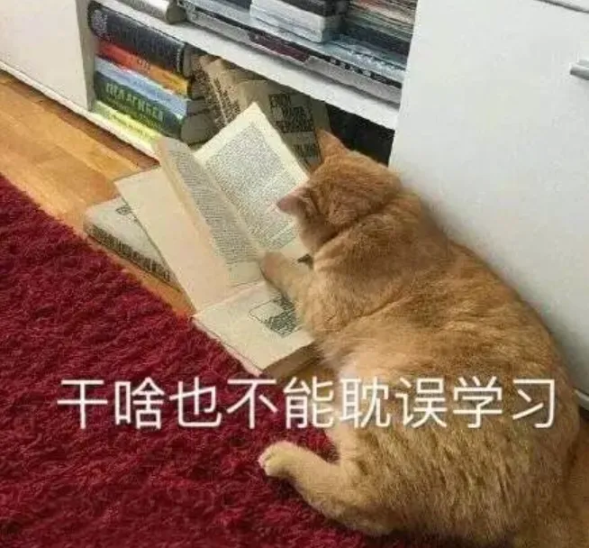 中考助力站 | 月考的作用,90%的学生都不知道-第21张图片-四季读书网
