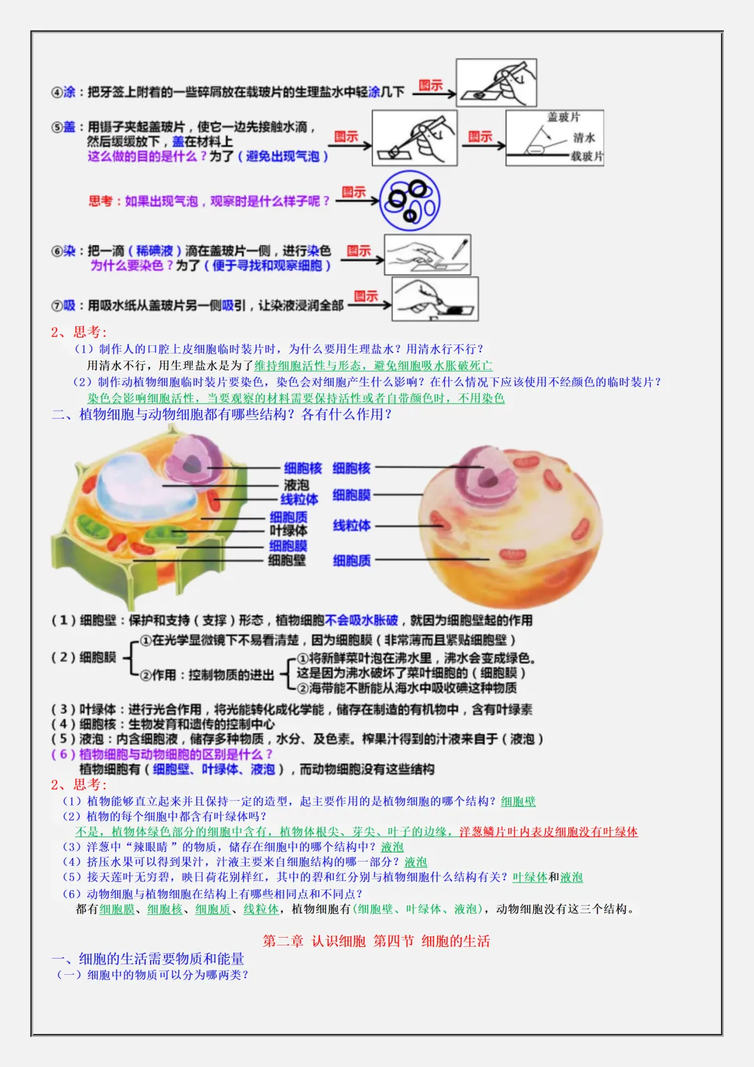 初一2026新版七年级上册生物·复习提纲·全册核心知识点总结(电子版可打印)-第6张图片-四季读书网 初一2026新版七年级上册生物·复习提纲·全册核心知识点总结(电子版可打印)-第6张图片-四季读书网