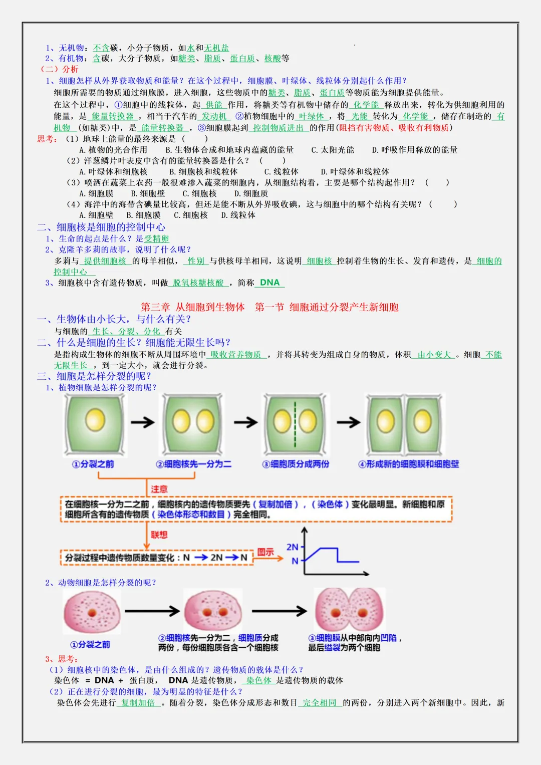 初一2026新版七年级上册生物·复习提纲·全册核心知识点总结(电子版可打印)-第7张图片-四季读书网 初一2026新版七年级上册生物·复习提纲·全册核心知识点总结(电子版可打印)-第7张图片-四季读书网