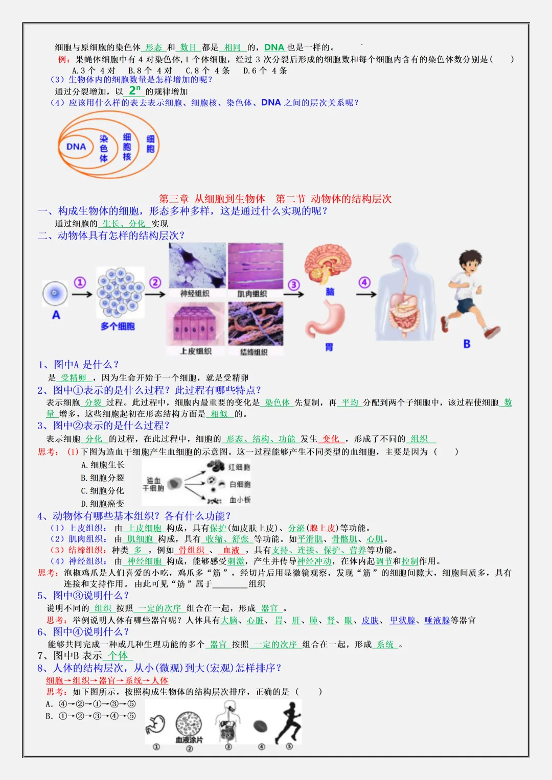 初一2026新版七年级上册生物·复习提纲·全册核心知识点总结(电子版可打印)-第8张图片-四季读书网 初一2026新版七年级上册生物·复习提纲·全册核心知识点总结(电子版可打印)-第8张图片-四季读书网