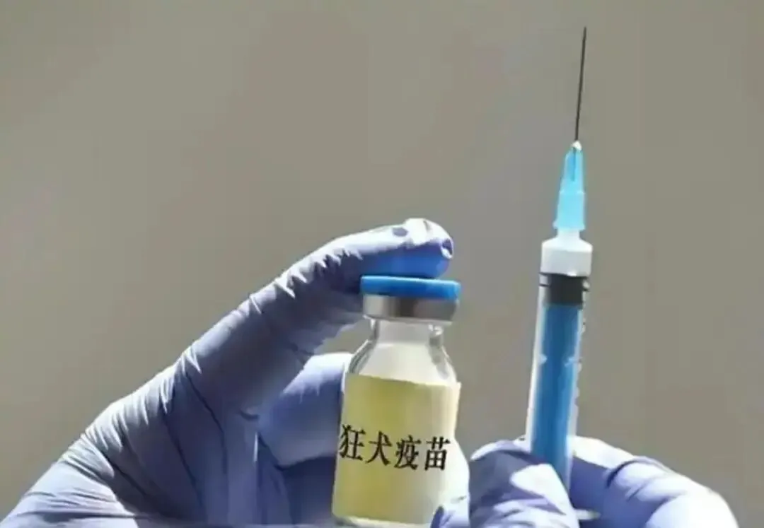 躲过初一没躲过十五!疫苗女王获无期徒刑,91亿罚单背后有大代价-第8张图片-四季读书网 躲过初一没躲过十五!疫苗女王获无期徒刑,91亿罚单背后有大代价-第8张图片-四季读书网