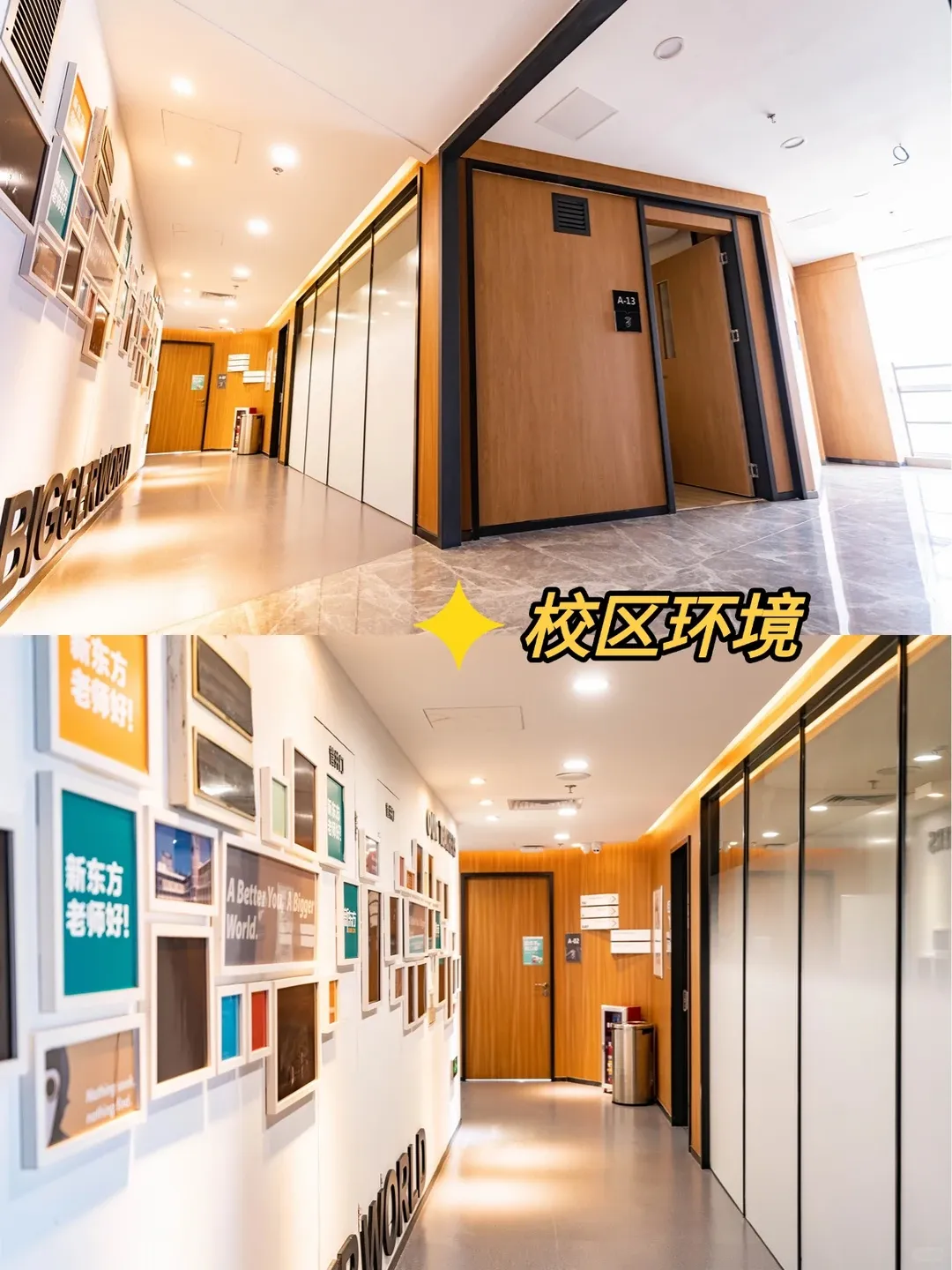 大学城专属雅思资料包:剑桥真题+口语题库+写作论据库-第4张图片-四季读书网 大学城专属雅思资料包:剑桥真题+口语题库+写作论据库-第4张图片-四季读书网