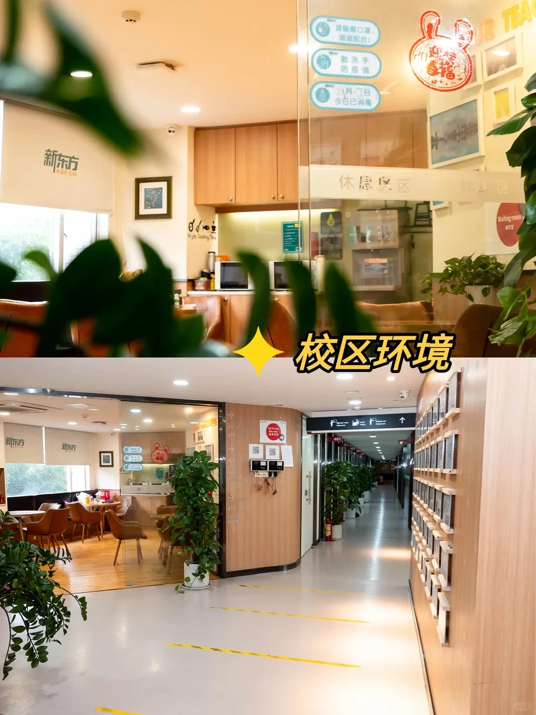 大学城专属雅思资料包:剑桥真题+口语题库+写作论据库-第5张图片-四季读书网 大学城专属雅思资料包:剑桥真题+口语题库+写作论据库-第5张图片-四季读书网