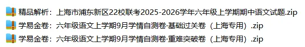 上海6上各科试卷整理汇总目录(2026.10.9更新)-第9张图片-四季读书网