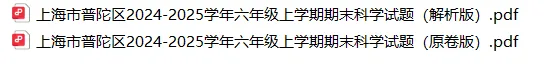 上海6上各科试卷整理汇总目录(2026.10.9更新)-第41张图片-四季读书网