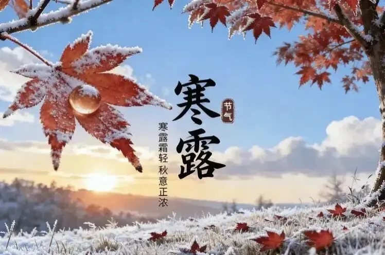 高考地理|二十四节气·寒露 考点全详解-第1张图片-四季读书网