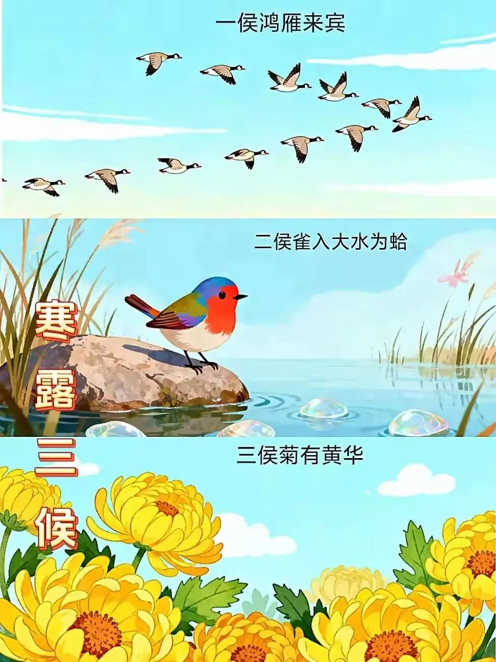 高考地理|二十四节气·寒露 考点全详解-第3张图片-四季读书网