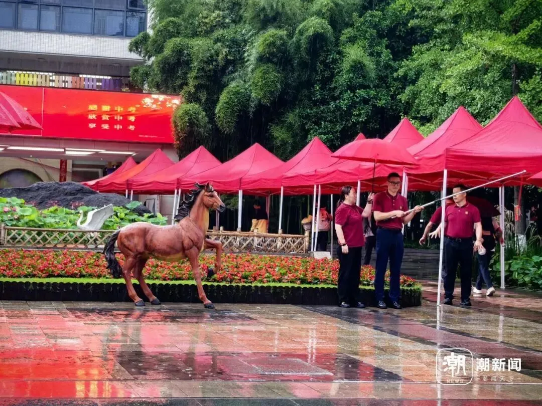 10万余名考生,今天参加2026杭州中考!各考点现场直击-第9张图片-四季读书网