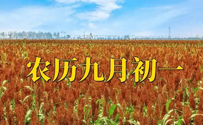 【民俗】九月初一-第3张图片-四季读书网