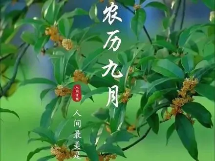 【民俗】九月初一-第6张图片-四季读书网